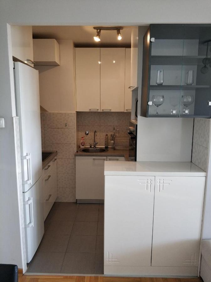 Alexplatz Danube View Apartment Belgrade Luaran gambar